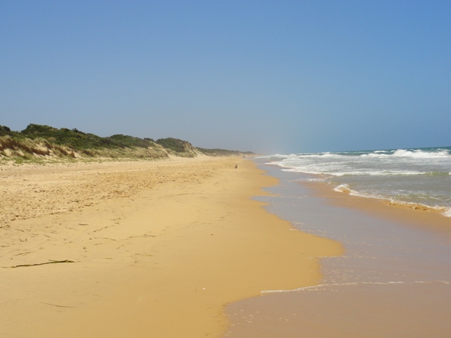 Ninety Mile Beach - great for beach walking & exploring