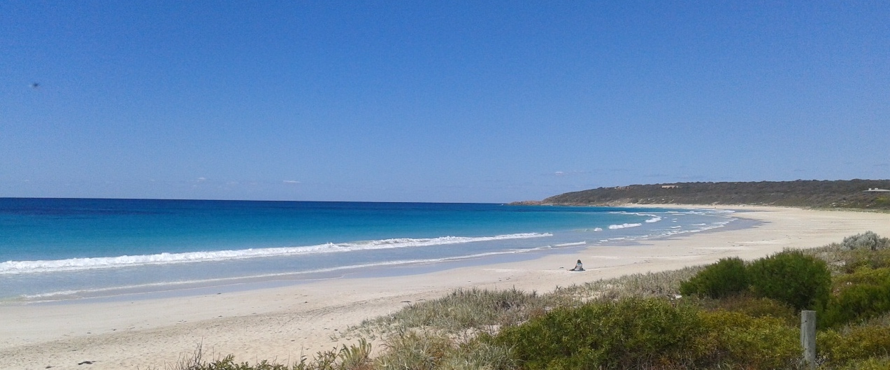 Bunker Bay is one of the gorgeous beaches in the area, many of them toddler friendly.