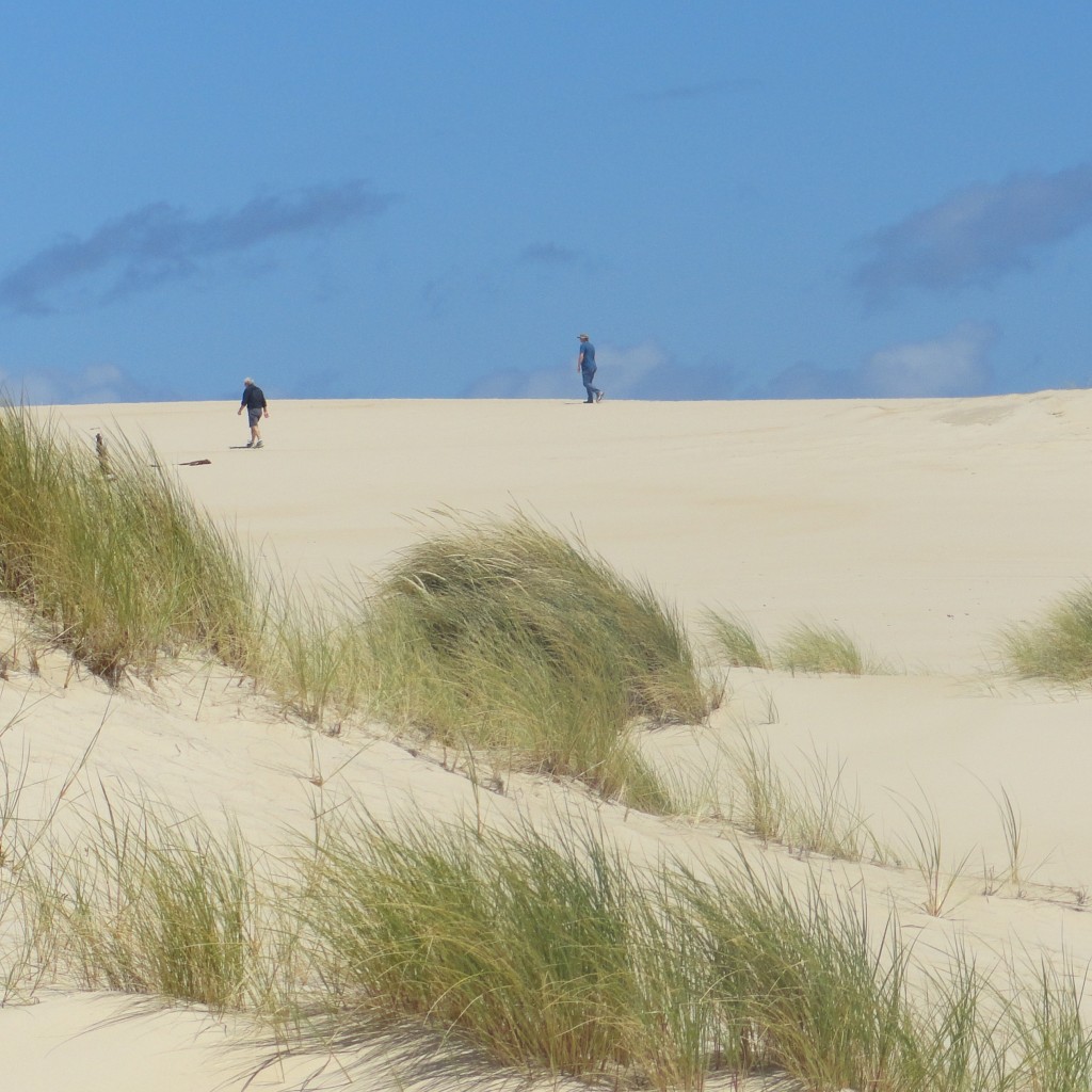 It's hard on the legs, but the scenery at the Henty Sand-dunes is worth it.