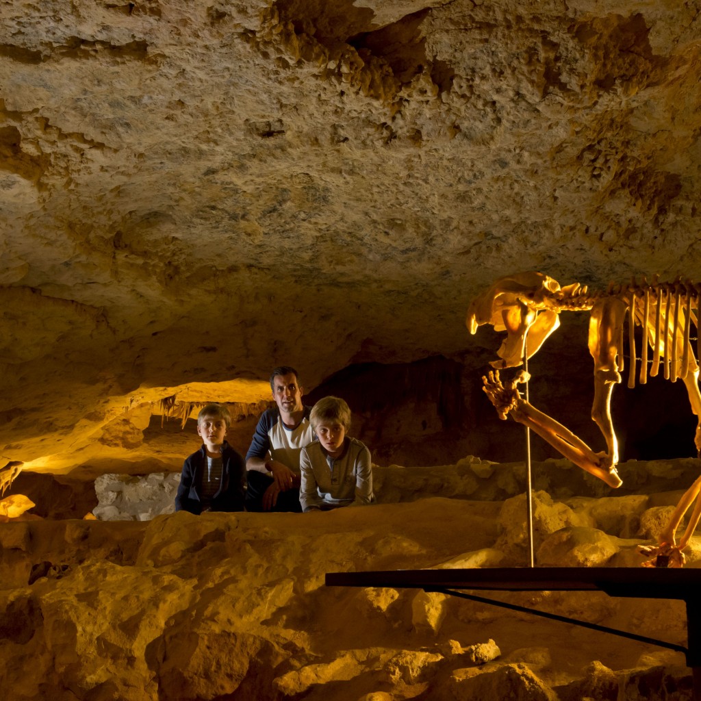 A visit to the Naracoorte Caves is a must for any family holidaying on the Limestone Coast.