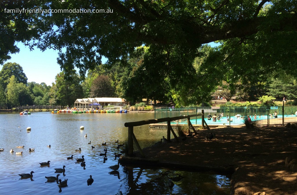Emerald Lake Park in Victoria's Dandenong Ranges