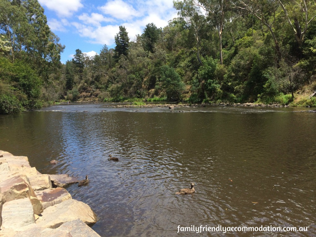 The Yarra River at Warrandyte - perfect for a family walk.