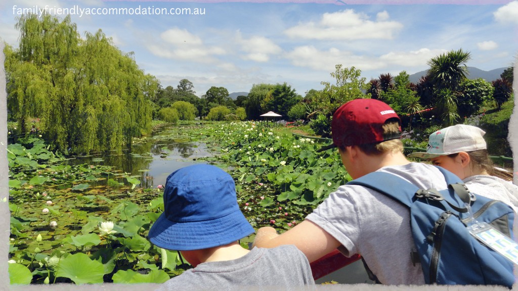 There is so much for your children to to see at Blue Water Lotus Gardens. 