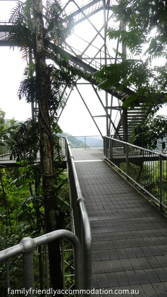 Climb the tower to get even better views at MaMu Rainforest Walk.