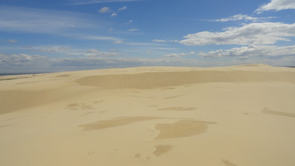 The Stockton Sand Dunes near Newcastle. Site of this year's dramatic Home and Away plane crash.